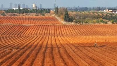 Tour Israel gallery photo 17