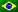 pt-br
